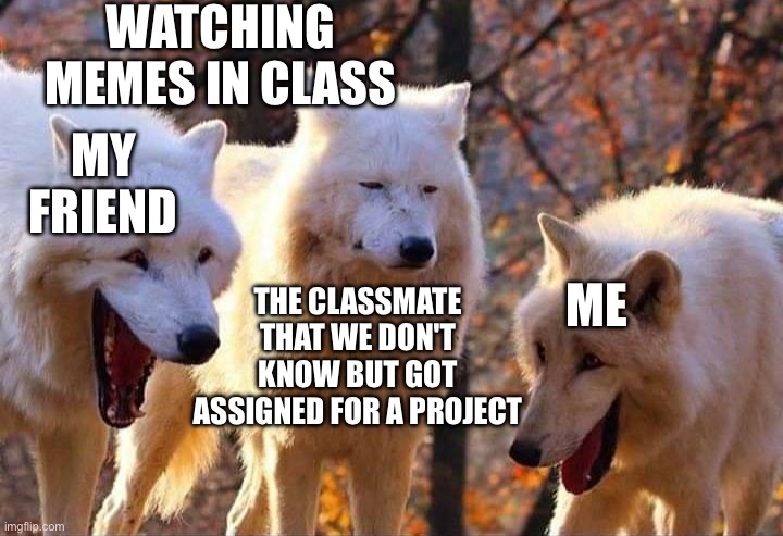 Imgflip is full of memes...? | WATCHING MEMES IN CLASS; MY FRIEND; THE CLASSMATE THAT WE DON'T KNOW BUT GOT ASSIGNED FOR A PROJECT; ME | image tagged in laughing wolf | made w/ Imgflip meme maker