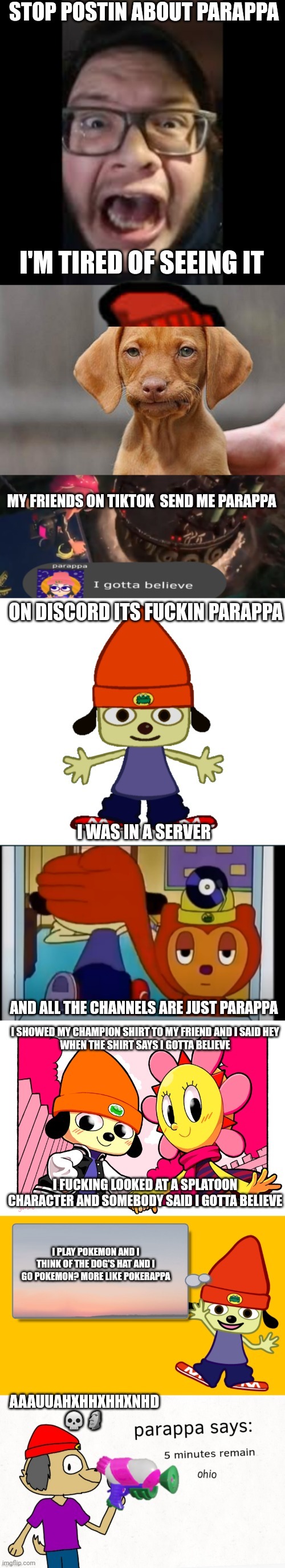 Stop posting about Parappa | image tagged in stop posting about parappa | made w/ Imgflip meme maker