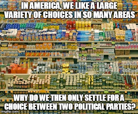An interesting dichotomy | IN AMERICA, WE LIKE A LARGE VARIETY OF CHOICES IN SO MANY AREAS WHY DO WE THEN ONLY SETTLE FOR A CHOICE BETWEEN TWO POLITICAL PARTIES? | image tagged in politics | made w/ Imgflip meme maker
