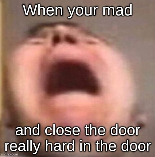 That feeling feels bad | When your mad; and close the door really hard in the door | image tagged in memes | made w/ Imgflip meme maker