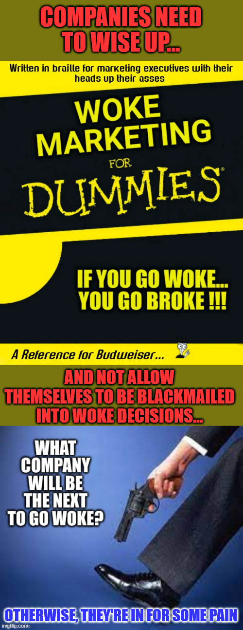 Companies are being blackmailed by the woke mob into poor business decisions... | COMPANIES NEED TO WISE UP... AND NOT ALLOW THEMSELVES TO BE BLACKMAILED INTO WOKE DECISIONS... OTHERWISE, THEY'RE IN FOR SOME PAIN | image tagged in woke,broke | made w/ Imgflip meme maker