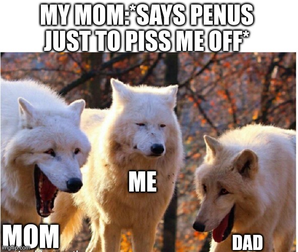 does this happen to anyone else? | MY MOM:*SAYS PENUS JUST TO PISS ME OFF*; ME; MOM; DAD | image tagged in laughing wolves | made w/ Imgflip meme maker