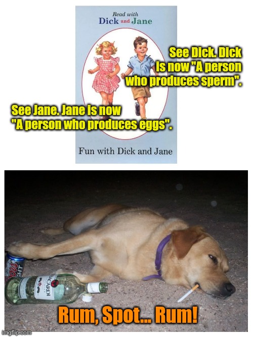 Meanwhile... In a Vermont 5th grade... | See Dick. Dick is now "A person who produces sperm". See Jane. Jane is now "A person who produces eggs". Rum, Spot... Rum! | made w/ Imgflip meme maker