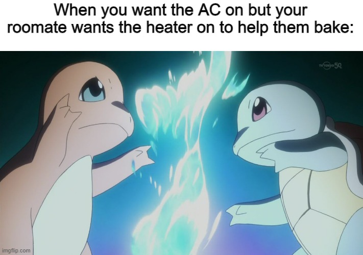Charmander VS Squirtle | When you want the AC on but your roomate wants the heater on to help them bake: | image tagged in charmander vs squirtle,memes,funny | made w/ Imgflip meme maker
