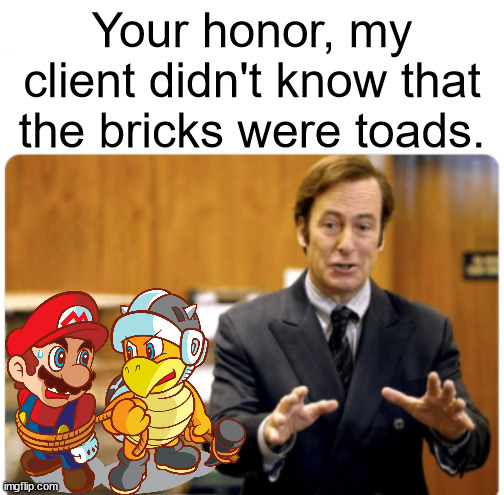 Your honour, my client | Your honor, my client didn't know that the bricks were toads. | image tagged in your honour my client | made w/ Imgflip meme maker