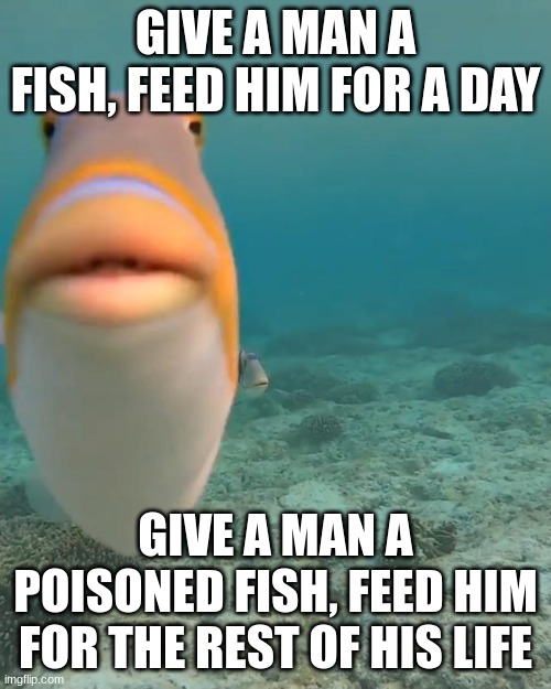 staring fish | GIVE A MAN A FISH, FEED HIM FOR A DAY; GIVE A MAN A POISONED FISH, FEED HIM FOR THE REST OF HIS LIFE | image tagged in staring fish,dark humor,fish,poem,funny | made w/ Imgflip meme maker