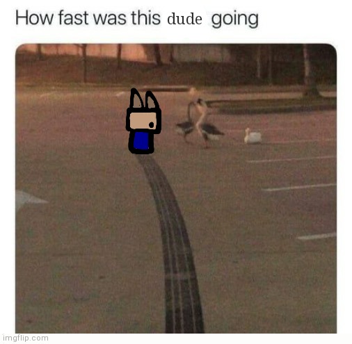 He fest | dude | image tagged in sped | made w/ Imgflip meme maker
