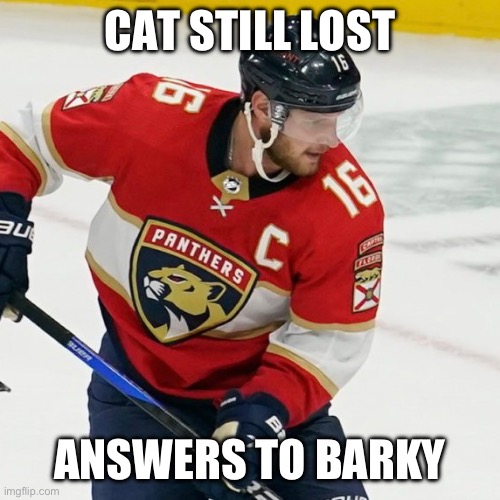 Florida Panthers | CAT STILL LOST; ANSWERS TO BARKY | image tagged in hockey | made w/ Imgflip meme maker