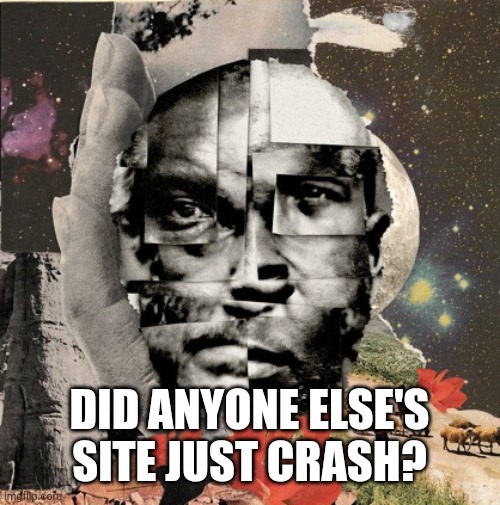 DID ANYONE ELSE'S SITE JUST CRASH? | made w/ Imgflip meme maker