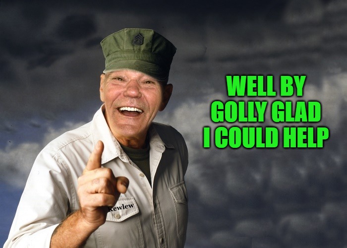 kewlew | WELL BY GOLLY GLAD I COULD HELP | image tagged in kewlew | made w/ Imgflip meme maker