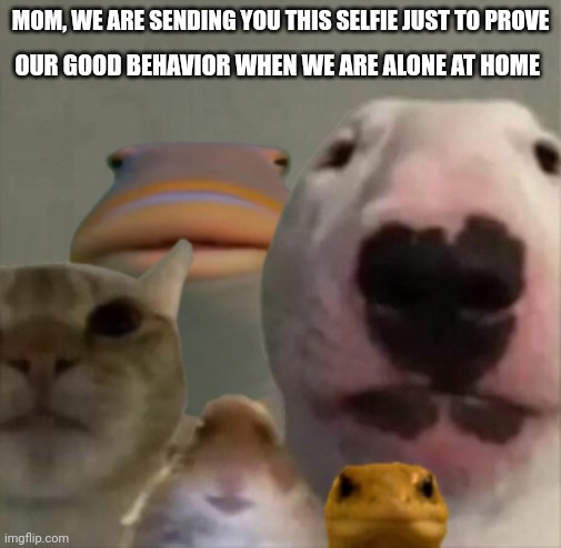 The council | OUR GOOD BEHAVIOR WHEN WE ARE ALONE AT HOME; MOM, WE ARE SENDING YOU THIS SELFIE JUST TO PROVE | image tagged in the council | made w/ Imgflip meme maker
