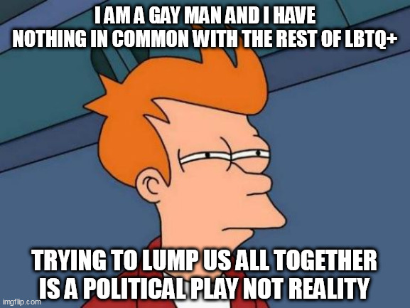 Futurama Fry Meme | I AM A GAY MAN AND I HAVE NOTHING IN COMMON WITH THE REST OF LBTQ+; TRYING TO LUMP US ALL TOGETHER IS A POLITICAL PLAY NOT REALITY | image tagged in memes,futurama fry | made w/ Imgflip meme maker