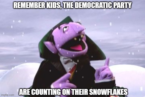 Democrats need their useful idiots to drive home their insanity. | REMEMBER KIDS, THE DEMOCRATIC PARTY; ARE COUNTING ON THEIR SNOWFLAKES | image tagged in democrats,liberals,leftists,woke,joe biden,snowflakes | made w/ Imgflip meme maker