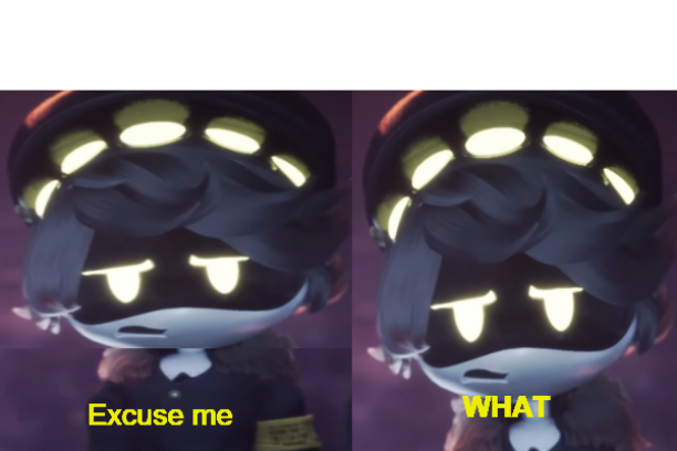 High Quality Excuse me WHAT N edition Blank Meme Template