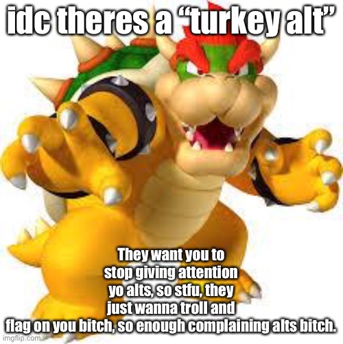 I quit doing attention to alts | idc theres a “turkey alt”; They want you to stop giving attention yo alts, so stfu, they just wanna troll and flag on you bitch, so enough complaining alts bitch. | made w/ Imgflip meme maker