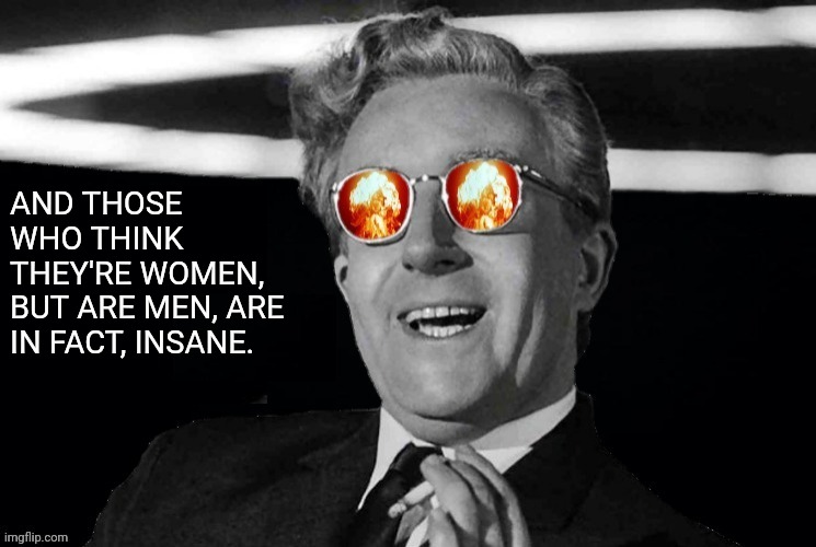 AND THOSE WHO THINK THEY'RE WOMEN, BUT ARE MEN, ARE IN FACT, INSANE. | made w/ Imgflip meme maker