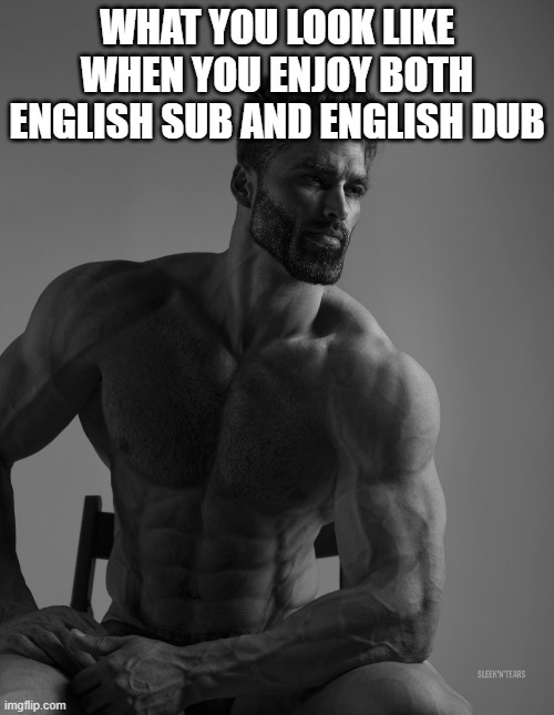 what I look like | WHAT YOU LOOK LIKE WHEN YOU ENJOY BOTH ENGLISH SUB AND ENGLISH DUB | image tagged in giga chad | made w/ Imgflip meme maker