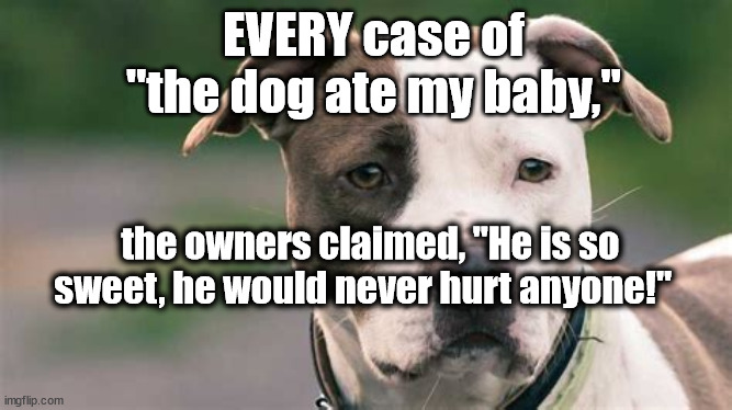 he would never hurt anyone | EVERY case of "the dog ate my baby,"; the owners claimed, "He is so sweet, he would never hurt anyone!" | image tagged in pitbull,does he bite | made w/ Imgflip meme maker