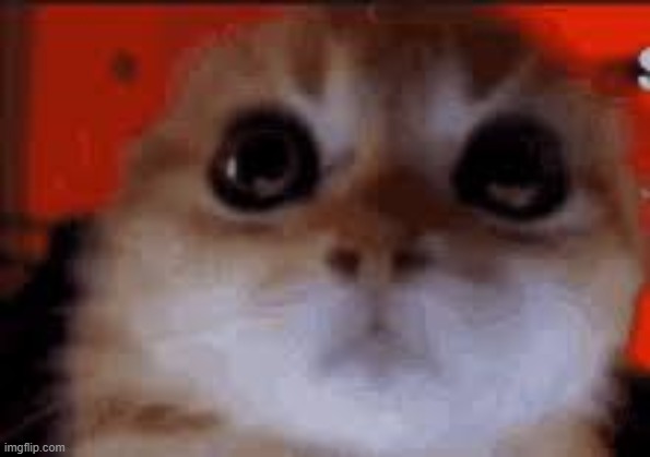 day 2 of reminding you all I hate you unconditionally (also follow my twitch) | made w/ Imgflip meme maker