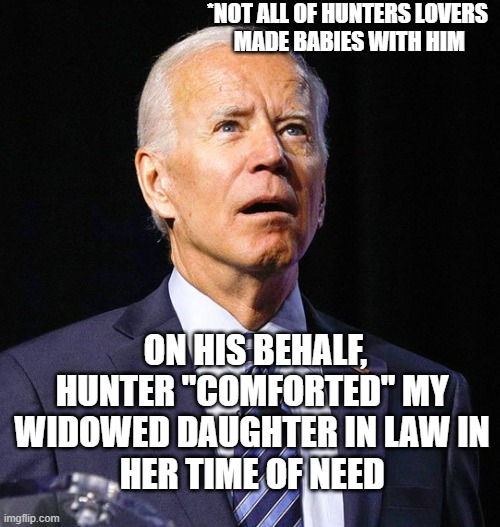 Metrosexual President Harry Styles | ON HIS BEHALF,
HUNTER "COMFORTED" MY 
WIDOWED DAUGHTER IN LAW IN 
HER TIME OF NEED *NOT ALL OF HUNTERS LOVERS 
MADE BABIES WITH HIM | image tagged in joe biden,hunter biden,harry styles,nevertrump meme,disney princesses,white house | made w/ Imgflip meme maker