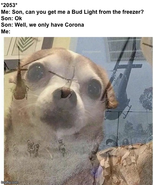 Oh God... | *2053*
Me: Son, can you get me a Bud Light from the freezer?
Son: Ok
Son: Well, we only have Corona
Me: | image tagged in ptsd chihuahua,coronavirus | made w/ Imgflip meme maker