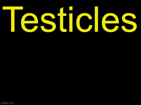 drizzy text temp | Testicles | image tagged in drizzy text temp | made w/ Imgflip meme maker