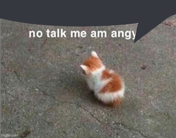 no talk me am angy | image tagged in no talk me am angy | made w/ Imgflip meme maker