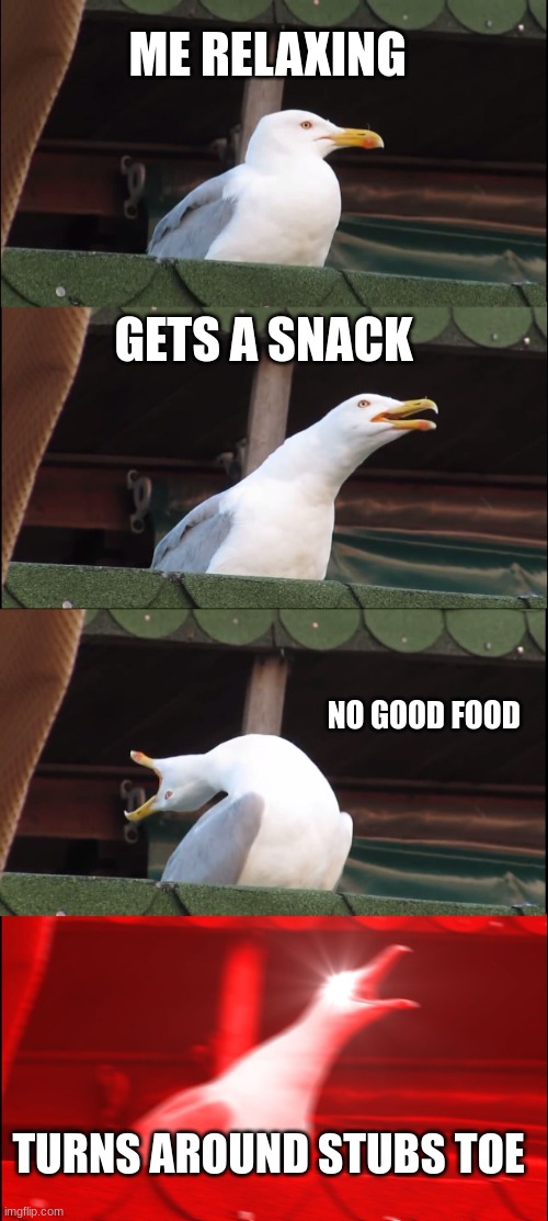 Inhaling Seagull Meme | ME RELAXING; GETS A SNACK; NO GOOD FOOD; TURNS AROUND STUBS TOE | image tagged in memes,inhaling seagull | made w/ Imgflip meme maker