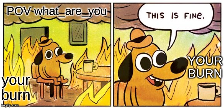 This Is Fine Meme | POV what_are_you your burn YOUR BURN | image tagged in memes,this is fine | made w/ Imgflip meme maker