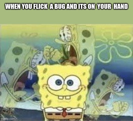 SpongeBob Internal Screaming | WHEN YOU FLICK  A BUG AND ITS ON  YOUR  HAND | image tagged in spongebob internal screaming | made w/ Imgflip meme maker