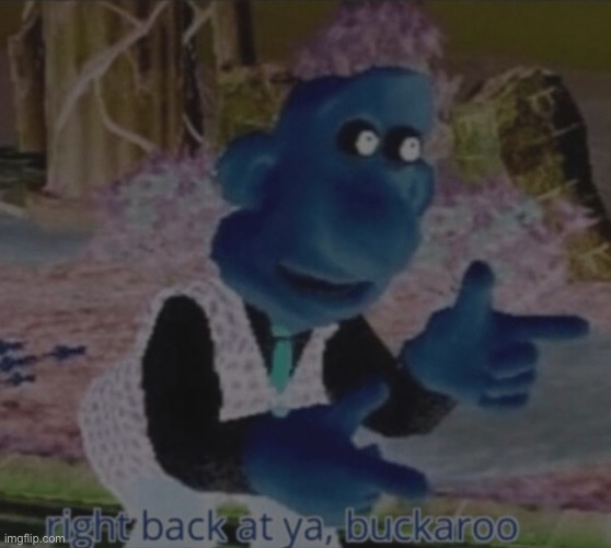 right back at ya buckaroo | image tagged in right back at ya buckaroo | made w/ Imgflip meme maker
