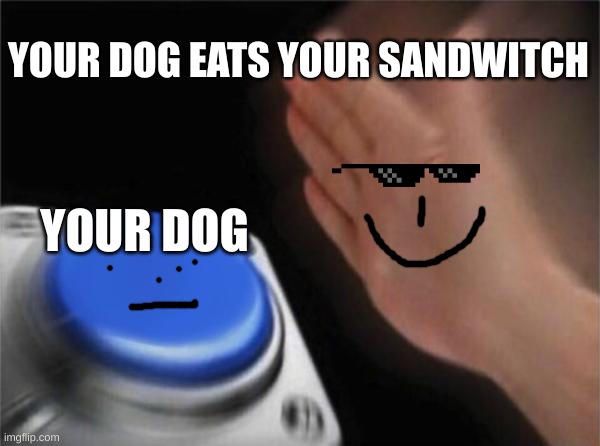 Blank Nut Button Meme | YOUR DOG EATS YOUR SANDWITCH; YOUR DOG | image tagged in memes,blank nut button | made w/ Imgflip meme maker