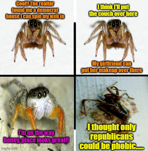 Democrats can be "phobes" too | I think I'll put the couch over here; Cool!! The realtor found me a democrat house I can spin my web in; My girlfriend can put her makeup over there; I thought only republicans could be phobic..... I'm on the way honey, place looks great!! | image tagged in memes,arachnophobia,maga,liberal vs conservative,donald trump | made w/ Imgflip meme maker