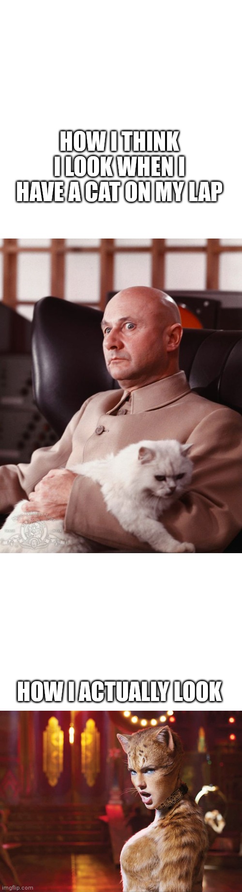 E | HOW I THINK I LOOK WHEN I HAVE A CAT ON MY LAP; HOW I ACTUALLY LOOK | image tagged in blofeld | made w/ Imgflip meme maker