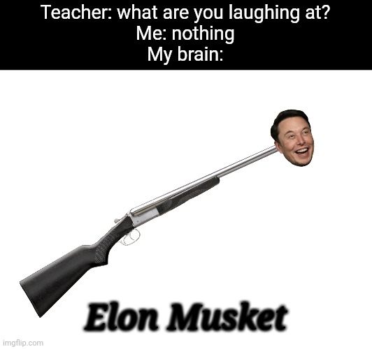 Teacher: what are you laughing at?
Me: nothing
My brain:; Elon Musket | image tagged in tag | made w/ Imgflip meme maker