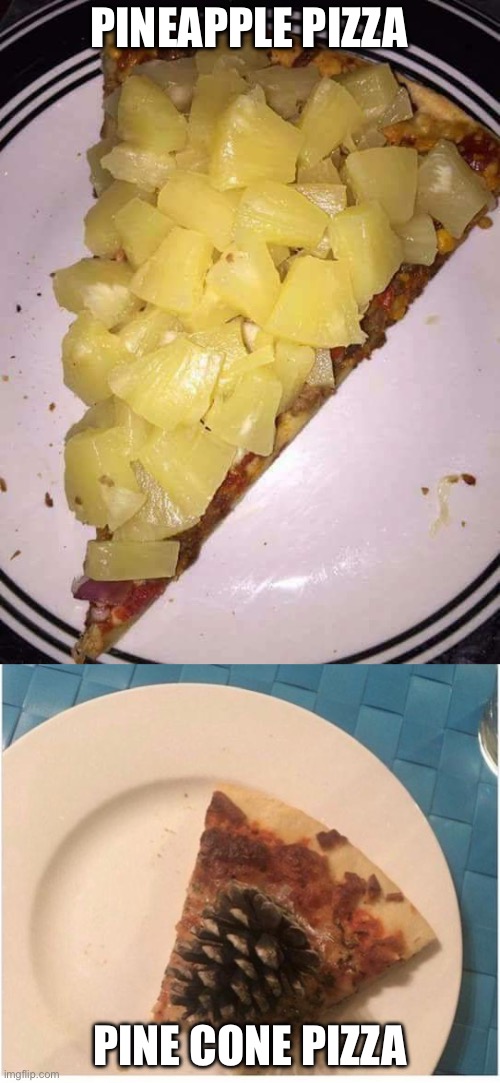 Pizza | PINEAPPLE PIZZA; PINE CONE PIZZA | image tagged in pineapple pizza,pizza,pine cone,conehead | made w/ Imgflip meme maker