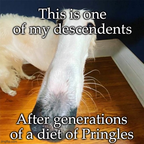 Pringles | This is one of my descendents; After generations of a diet of Pringles | image tagged in let me do it for you,dog,descendent | made w/ Imgflip meme maker