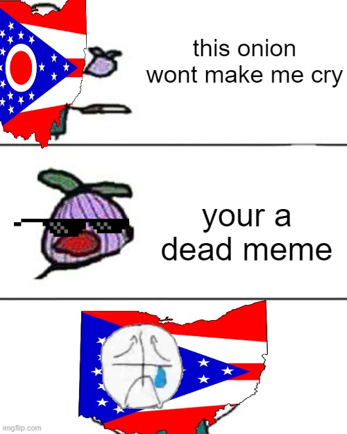ohio | this onion wont make me cry; your a dead meme | image tagged in this onion won't make me cry | made w/ Imgflip meme maker