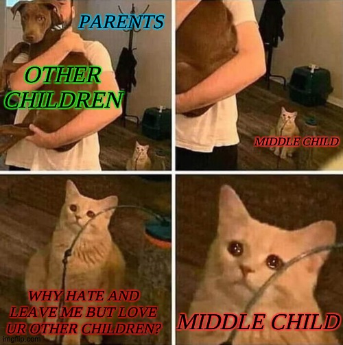 This is real sadness. | PARENTS; OTHER CHILDREN; MIDDLE CHILD; WHY HATE AND LEAVE ME BUT LOVE UR OTHER CHILDREN? MIDDLE CHILD | image tagged in crying cat comic | made w/ Imgflip meme maker