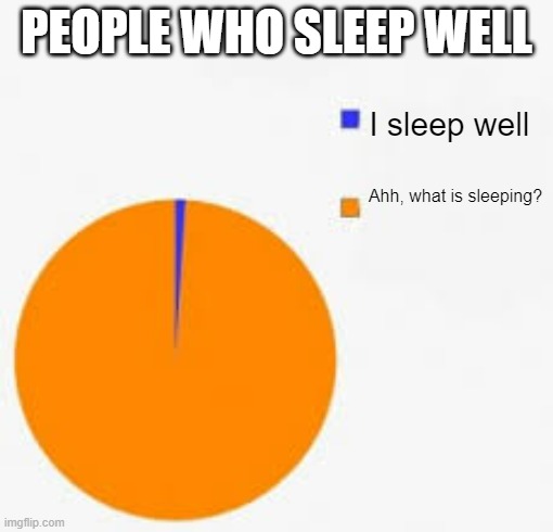 Pie Chart Meme | PEOPLE WHO SLEEP WELL; I sleep well; Ahh, what is sleeping? | image tagged in pie chart meme | made w/ Imgflip meme maker