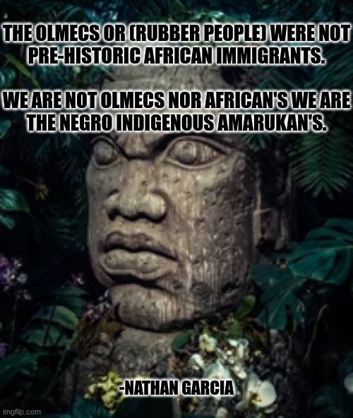 THE OLMECS OR (RUBBER PEOPLE) WERE NOT PRE-HISTORIC AFRICAN IMMIGRANTS.
 
WE ARE NOT OLMECS NOR AFRICAN'S WE ARE THE NEGRO INDIGENOUS AMARUKAN'S. -NATHAN GARCIA | image tagged in history | made w/ Imgflip meme maker