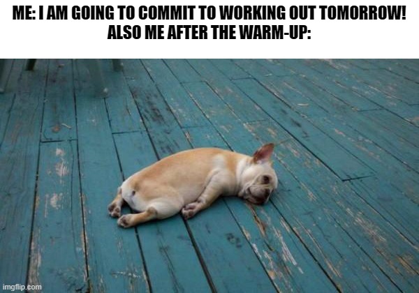 About to workout right now, already tired | ME: I AM GOING TO COMMIT TO WORKING OUT TOMORROW!
ALSO ME AFTER THE WARM-UP: | image tagged in tired dog,workout excuses,laziness | made w/ Imgflip meme maker