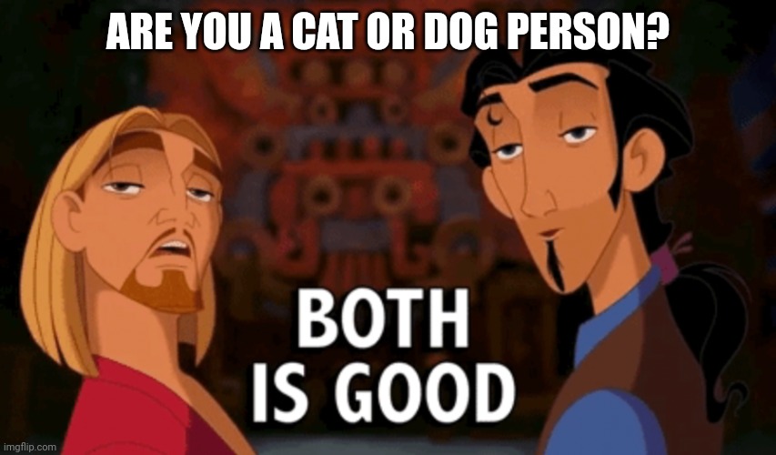 Whenever I get asked this question | ARE YOU A CAT OR DOG PERSON? | image tagged in both is good | made w/ Imgflip meme maker