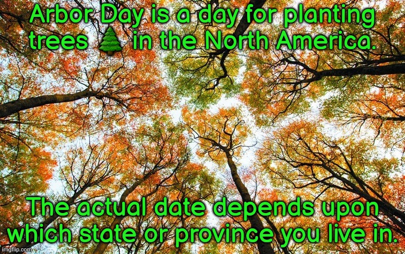 Whenever the best time to plant in the area's ecosystem is. | Arbor Day is a day for planting trees 🌲 in the North America. The actual date depends upon which state or province you live in. | image tagged in there is trouble in the forest,environmental,humanity restored,growth | made w/ Imgflip meme maker