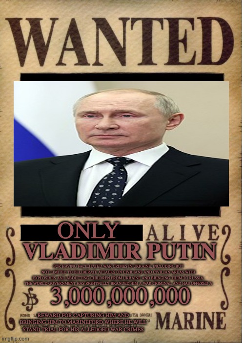 This isn't really meant to be funny tho | ONLY; VLADIMIR PUTIN; FOR HAVING FACILITATED WAR CRIMES IN UKRAINE, INCLUDING BUT NOT LIMITED TO DELIBERATE ATTACKS ON CIVILIANS AND CIVILIAN AREAS WITH EXPLOSIVES AND ABDUCTING CHILDREN FROM UKRAINE AND BRINGING THEM TO RUSSIA, THE WORLD GOVERNMENT HAS RIGHTFULLY BRANDED HIM A WAR CRIMINAL AND HAS OFFERED A; 3,000,000,000; REWARD FOR CAPTURING HIM AND BRINGING HIM TO MARINEFORD WHERE HE WILL STAND TRIAL FOR HIS ALLEDGED WAR CRIMES | image tagged in one piece wanted poster template | made w/ Imgflip meme maker