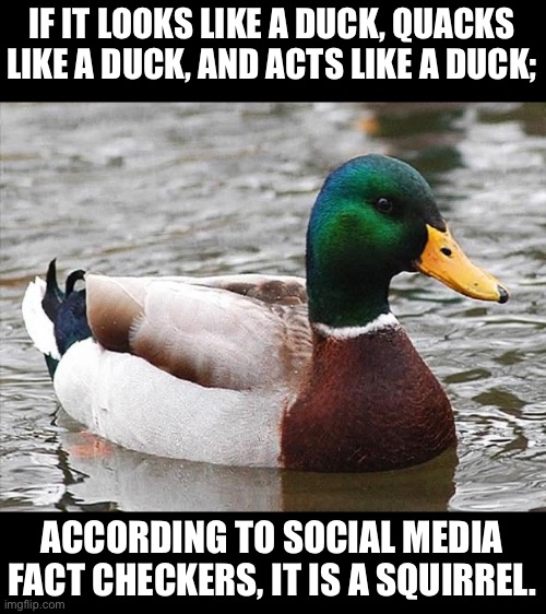 Fact Checkers | IF IT LOOKS LIKE A DUCK, QUACKS LIKE A DUCK, AND ACTS LIKE A DUCK;; ACCORDING TO SOCIAL MEDIA FACT CHECKERS, IT IS A SQUIRREL. | image tagged in good advise duck | made w/ Imgflip meme maker