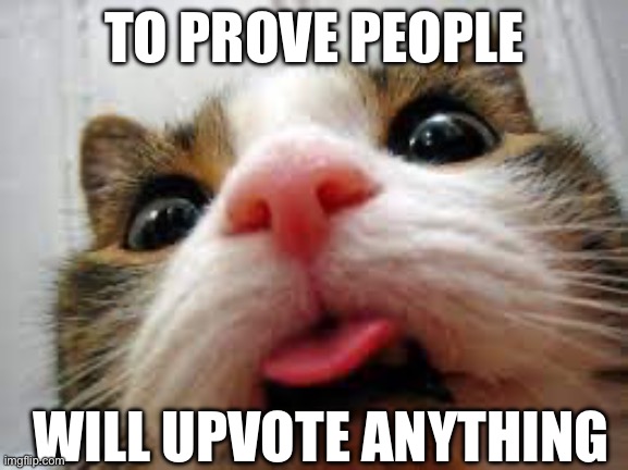 Prove me wrong | TO PROVE PEOPLE; WILL UPVOTE ANYTHING | image tagged in funny | made w/ Imgflip meme maker