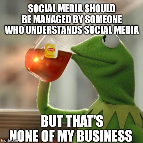 Hey you. Yeah you! Look at this image! | SOCIAL MEDIA SHOULD BE MANAGED BY SOMEONE WHO UNDERSTANDS SOCIAL MEDIA; BUT THAT'S NONE OF MY BUSINESS | image tagged in memes,but that's none of my business,kermit the frog | made w/ Imgflip meme maker