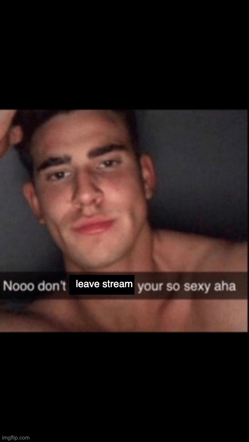 Noo don't kill yourself your too sexy aha | leave stream | image tagged in noo don't kill yourself your too sexy aha | made w/ Imgflip meme maker