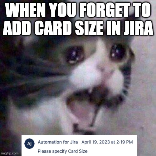 Developer meme | WHEN YOU FORGET TO ADD CARD SIZE IN JIRA | image tagged in cat screaming | made w/ Imgflip meme maker